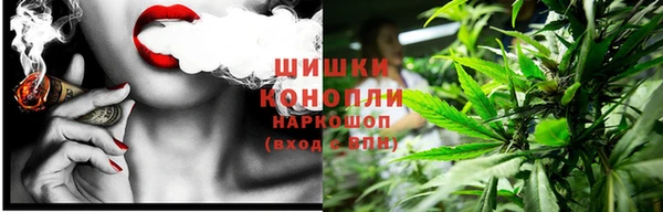 прущая мука Магас
