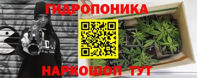 гидропоника Лесосибирск
