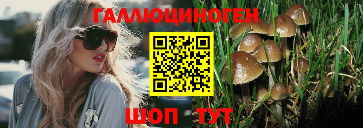 Галлюциногенные грибы GOLDEN TEACHER  Вход с VPN  Курган 