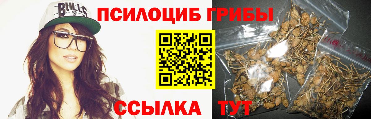 Галлюциногенные грибы прущие грибы Курган