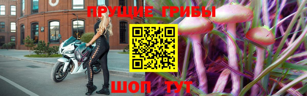купить наркотик  Курган  Псилоцибиновые грибы Psilocybine cubensis 