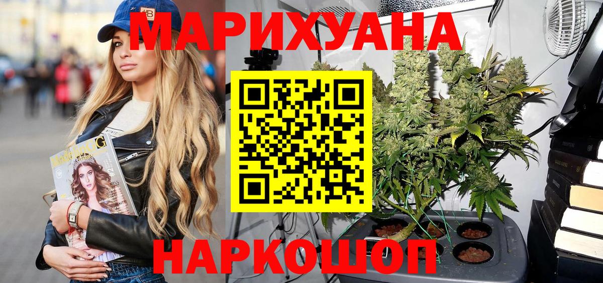 Конопля конопля  Курган  Канабис план  Конопля OG Kush 