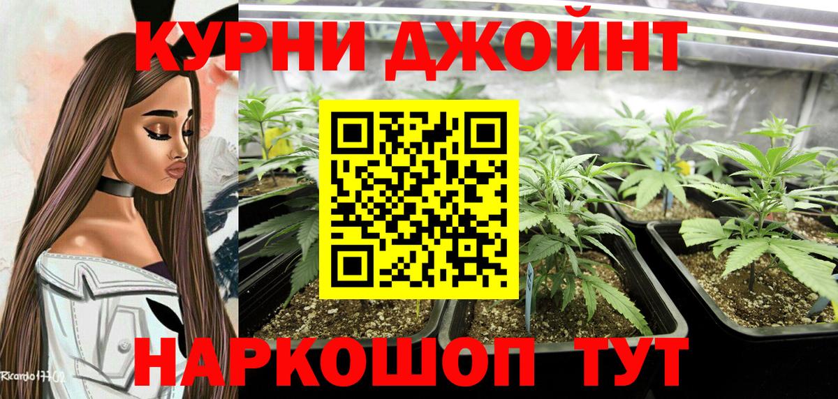 Бошки марихуана сатива  Канабис VHQ  Курган  Вход с VPN  Канабис Ganja 