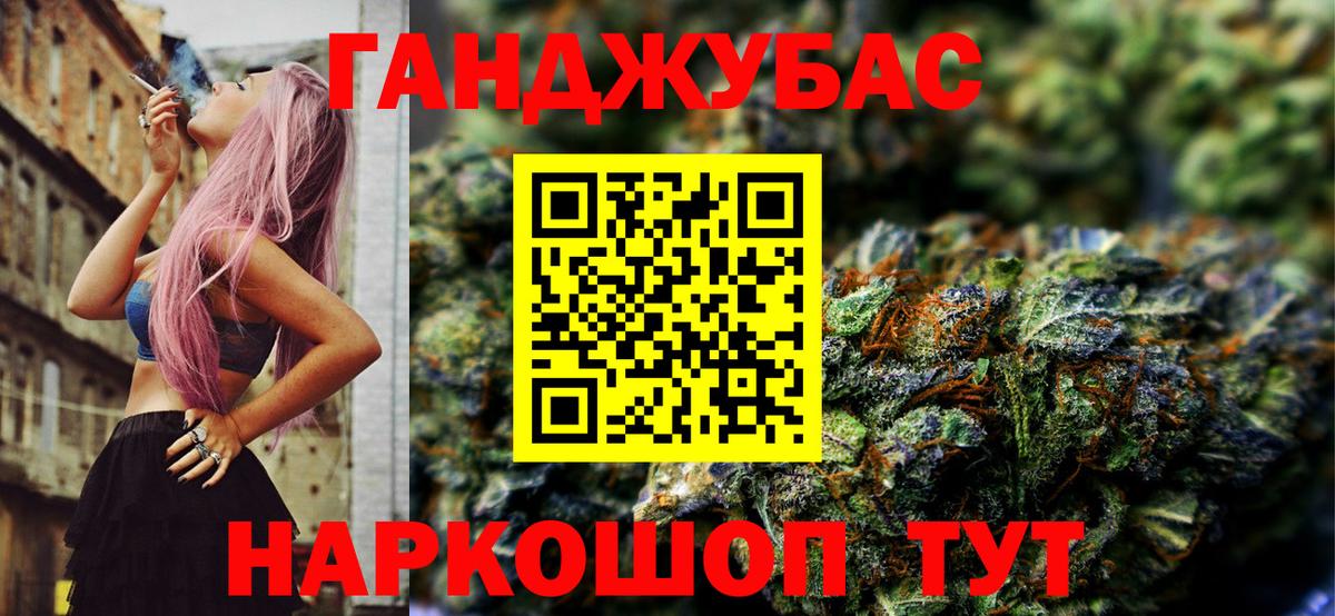 Конопля сатива Курган